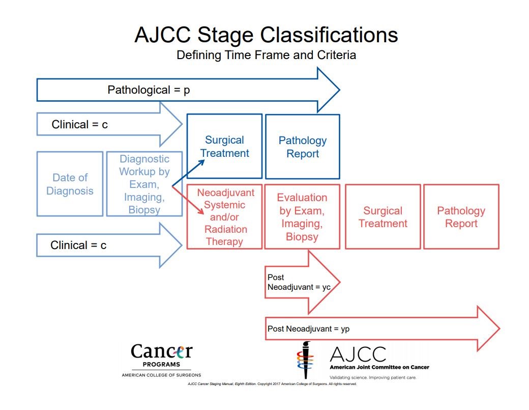 Ajcc Staging Rules Acs 9271