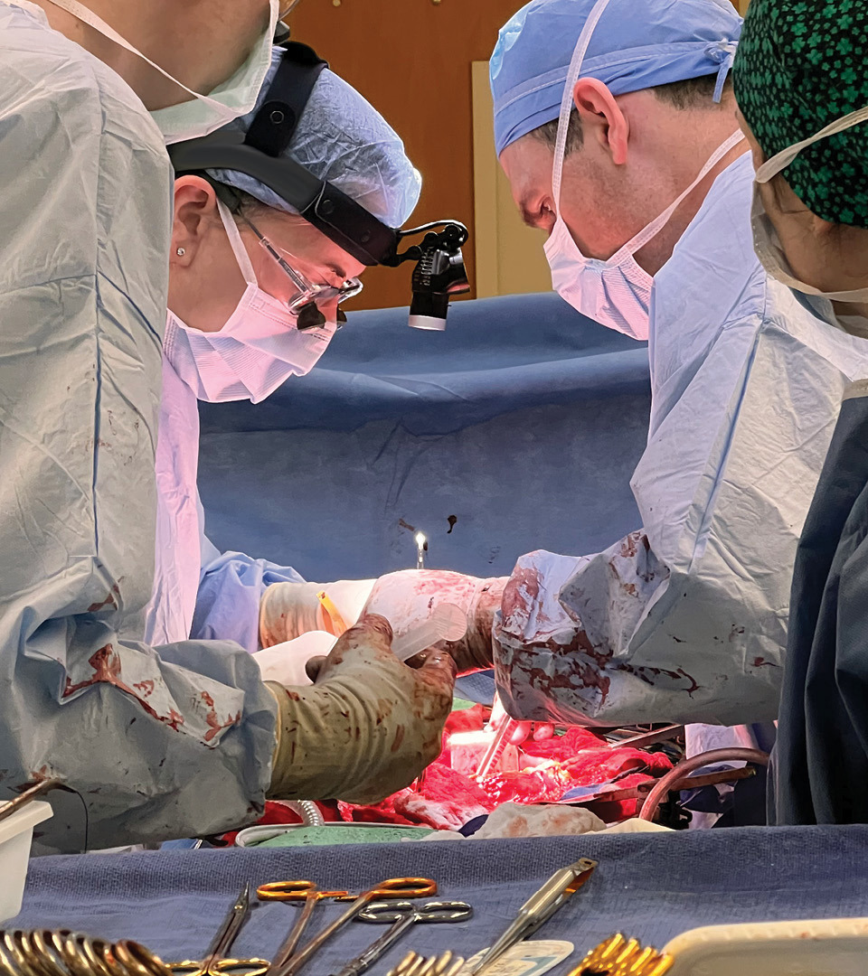 New Technologies, Approaches Help Surgeons Maximize the Use of Transplant Organs
