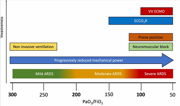 Extracorporeal Membrane Oxygenation (ECMO) for COVID-19-Associated ...