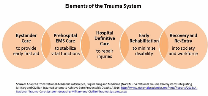 Trauma - Sunnybrook Foundation